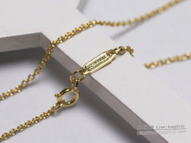 Tiffany飾品 蒂芙尼女士專櫃爆款hardwear吊墜項鏈  zgt1735